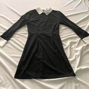 Structured Collard Dress in Black and White!